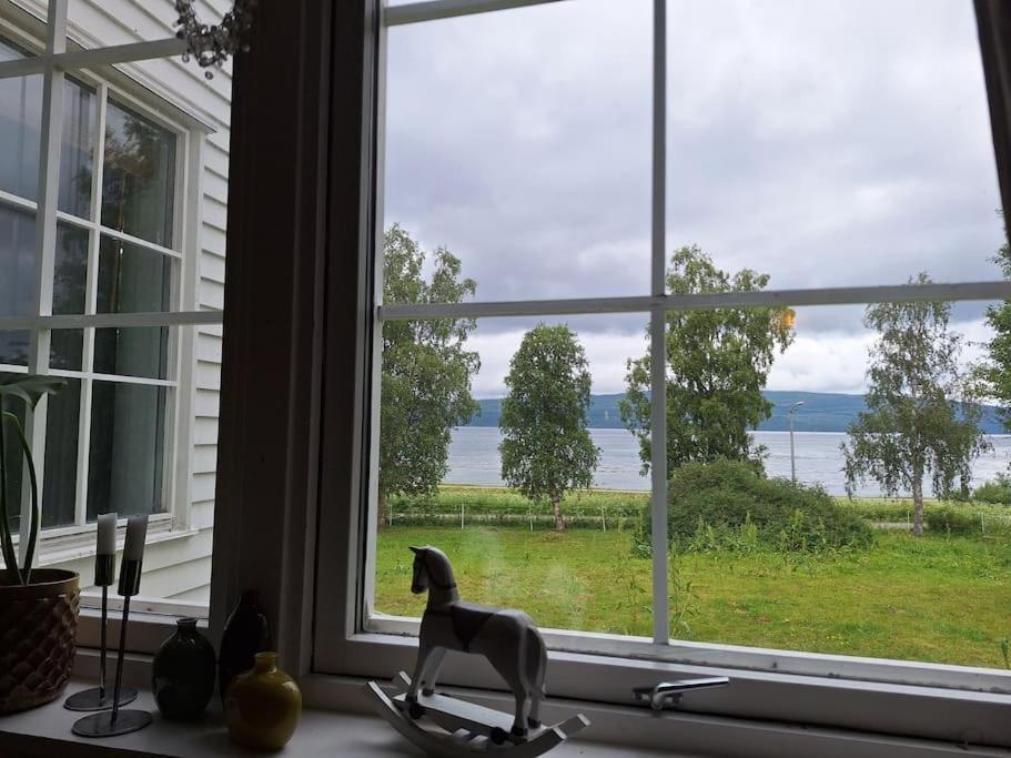 Privat Leilighet Pa Gard Med Badstue Og Nordlys Narvik Bagian luar foto