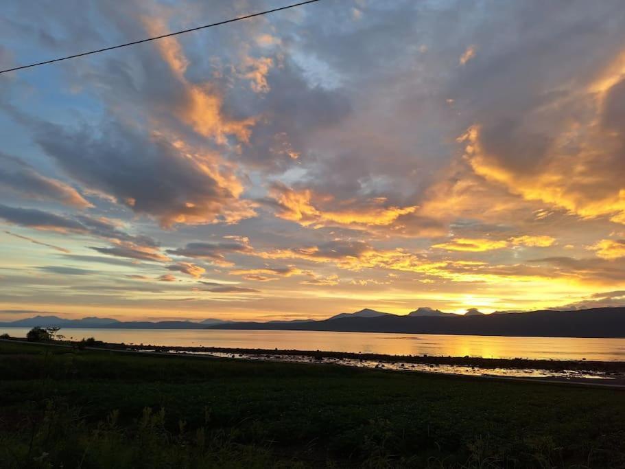 Privat Leilighet Pa Gard Med Badstue Og Nordlys Narvik Bagian luar foto