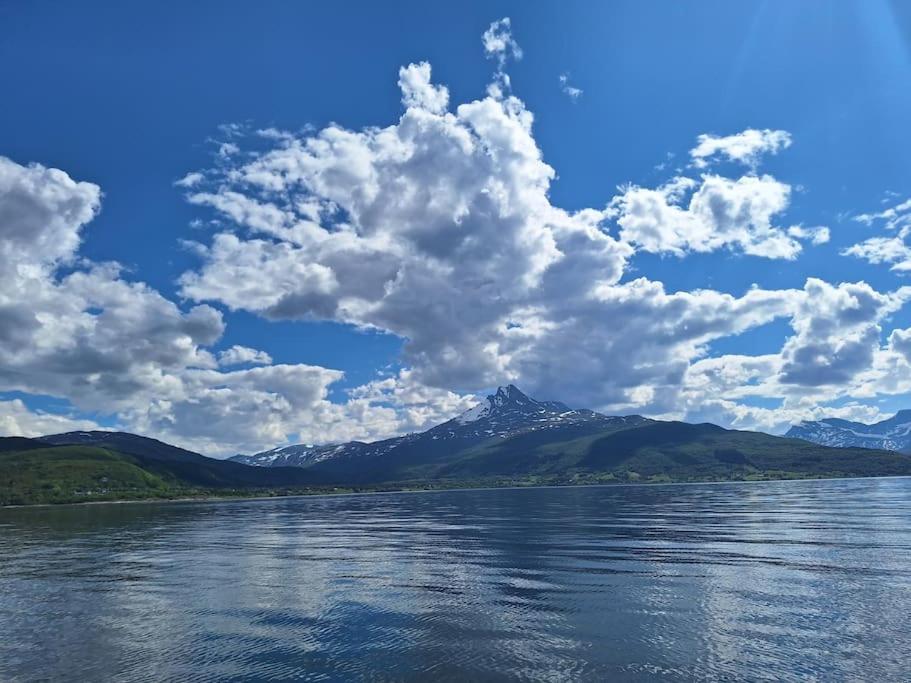 Privat Leilighet Pa Gard Med Badstue Og Nordlys Narvik Bagian luar foto