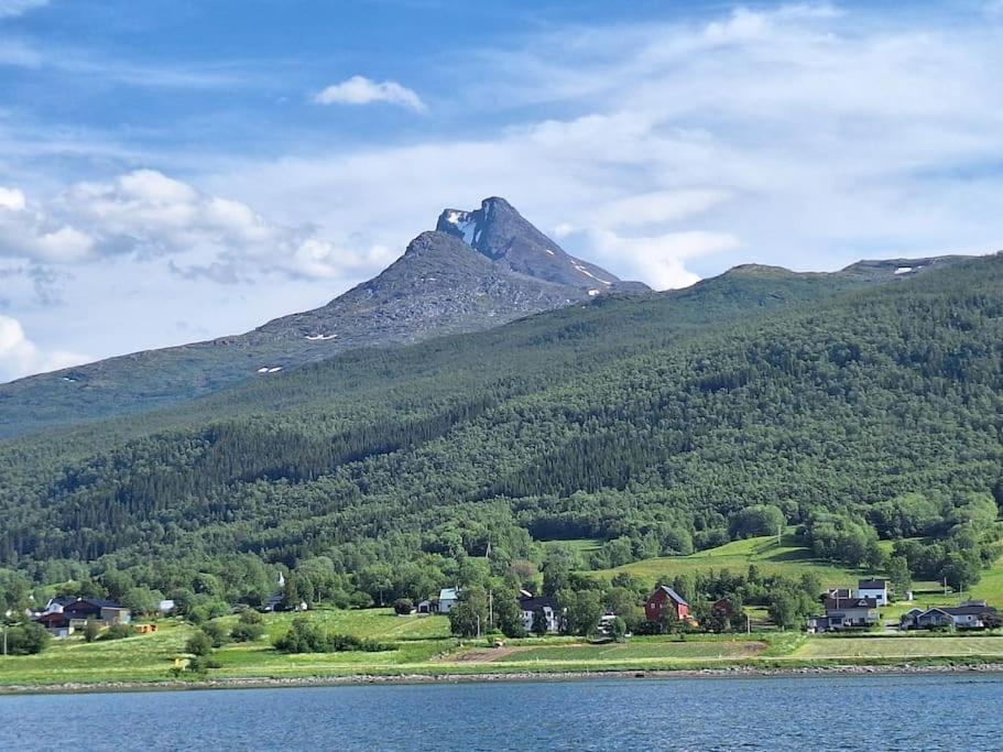 Privat Leilighet Pa Gard Med Badstue Og Nordlys Narvik Bagian luar foto