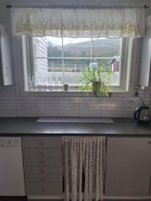 Privat Leilighet Pa Gard Med Badstue Og Nordlys Narvik Bagian luar foto
